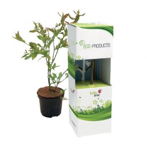 A standard box including a baby tree (available in apple, pear, cherry, plum and blueberry), measuring approx. 35cm and weighing approx. 350 grams. Full colour branding is to one side of the tag, per unit.