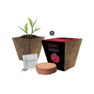 Fully customised, wrap round biodegradable wood fibre pot, coir pellet, seed sachet with a choice of flower, vegetable, herb or tree seeds.