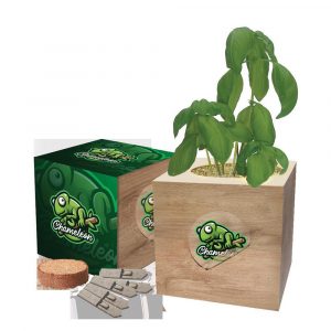 The 100% compostable and biodegradable cube is made from alder wood with a fully customised sleeve. The cubes are filled with a soil pellet and our SeedsticksÂ®. Cube can be branded with a sticker.