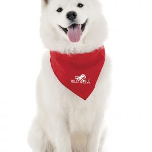 Square satin cloth pet bandana with stitched edges. A fashionable promo item ideal for vets, dog walking services or doggy day care. Available in Pantone colours to match your brand.