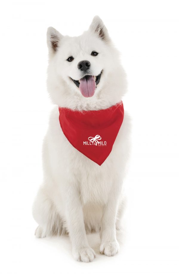 Square satin cloth pet bandana with stitched edges. A fashionable promo item ideal for vets, dog walking services or doggy day care. Available in Pantone colours to match your brand.