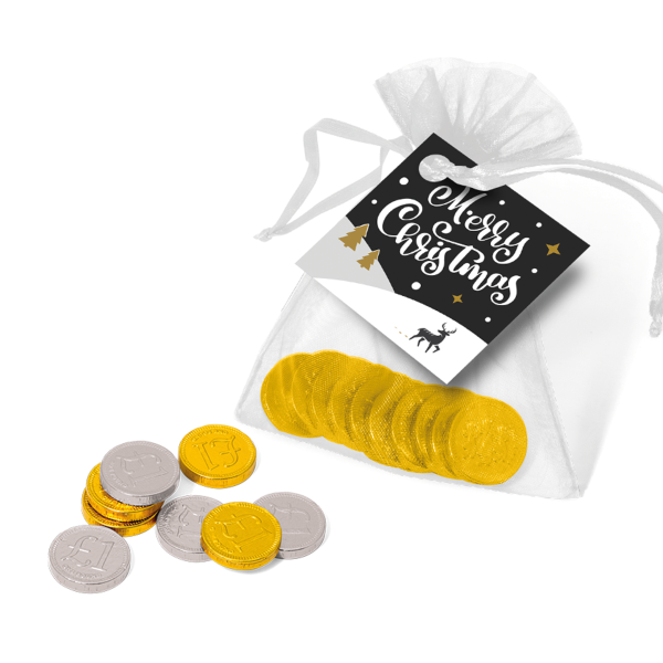 Organza Bag - Chocolate Coins