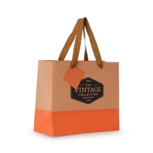 Matte laminated 210gsm paper gift bag with colour block across the bottom of the bag, striped inside edge, striped gift tag and recyclable polyester handles