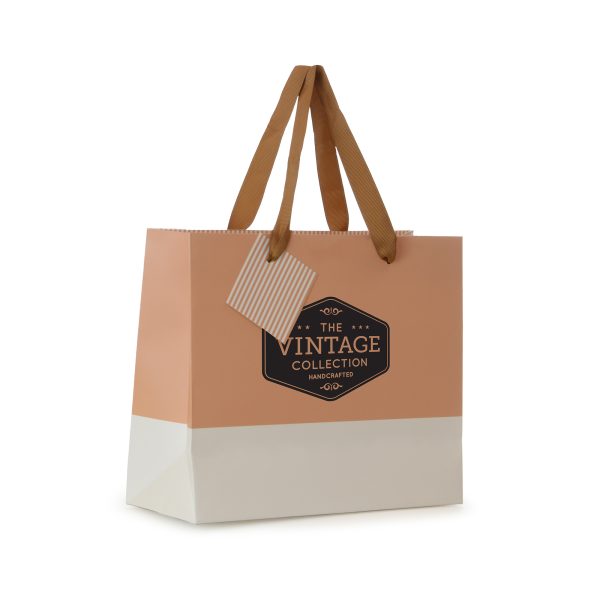 Matte laminated 210gsm paper gift bag with colour block across the bottom of the bag, striped inside edge, striped gift tag and recyclable polyester handles