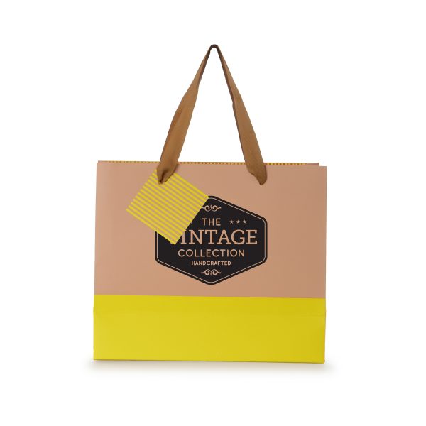 Matte laminated 210gsm paper gift bag with colour block across the bottom of the bag, striped inside edge, striped gift tag and recyclable polyester handles