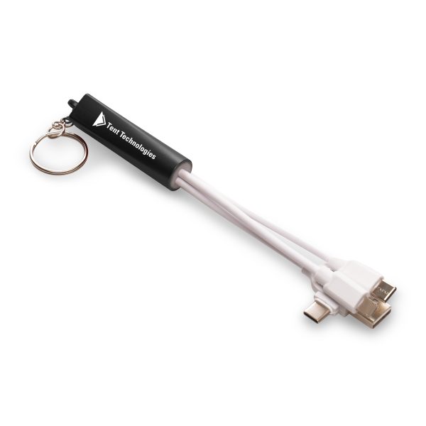 Plastic 3-in-1 light-up charger keyring. With dual type C/USB power adaptors and various connectors with type C USB, reversible 5 pin (iPhone) and micro USB (Android) connectors. Engraved branding lights up when plugged in!