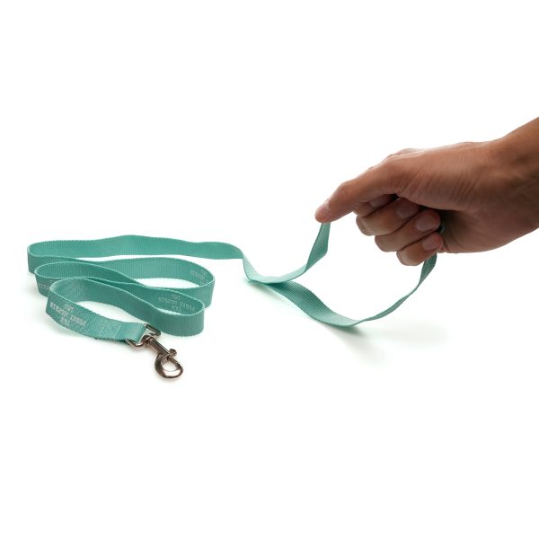 120cm polyester dog lead with aluminium clip to attach to a collar or harness.