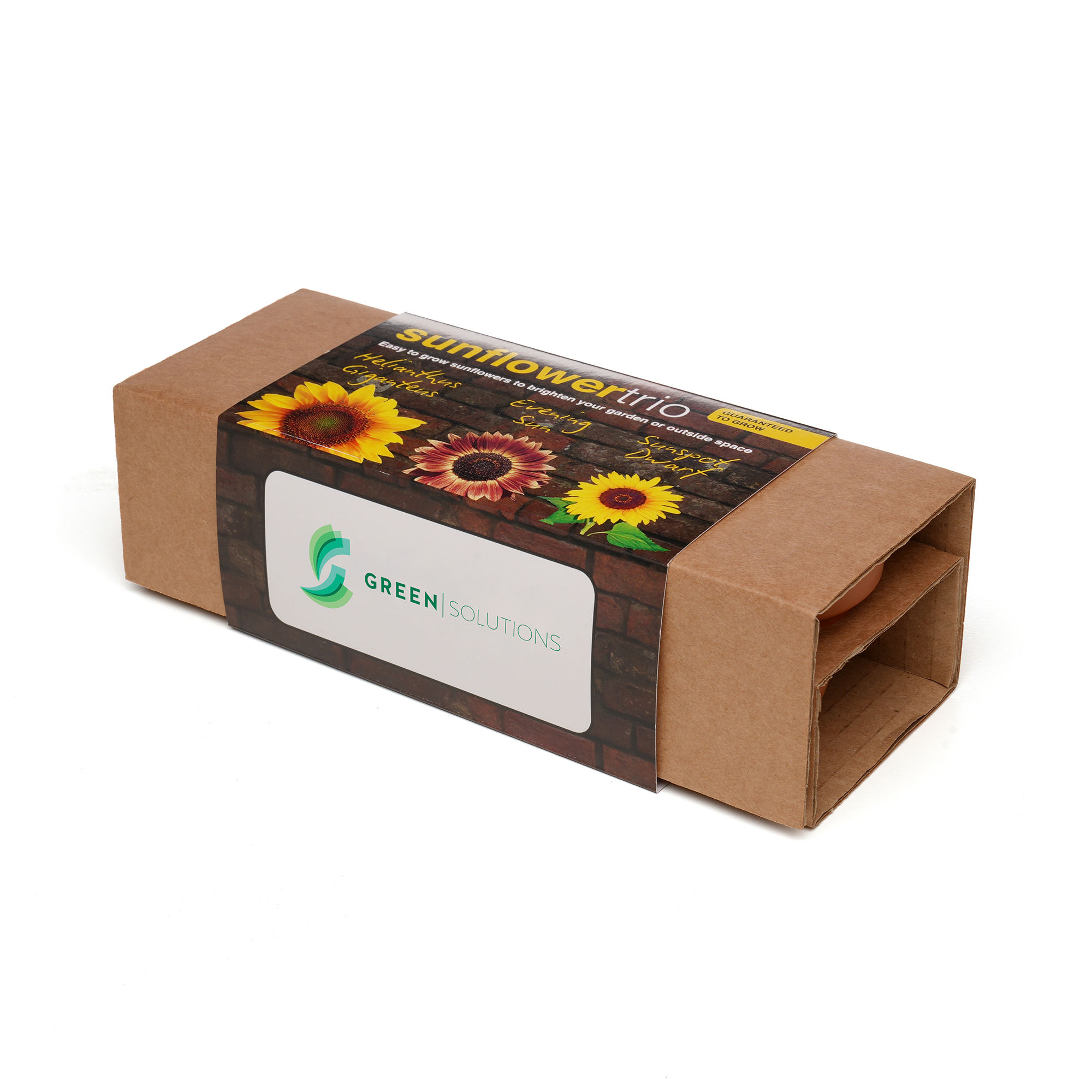 Three 55mm terracotta pots each containing a Cocopress® peat-free compost tablet and a different packets of seeds. The set is neatly presented in natural kraft packaging with a pre-printed sleeve featuring a dedicated space on the front panel for a full colour logo. Choose from the following trio options: Herb (Basil, Chives, Parsley), Sunflower (Giant Sunflower, Evening Sun, Sunspot Dwarf), Wellbeing (Chamomile, Evening Primrose, Lavender).