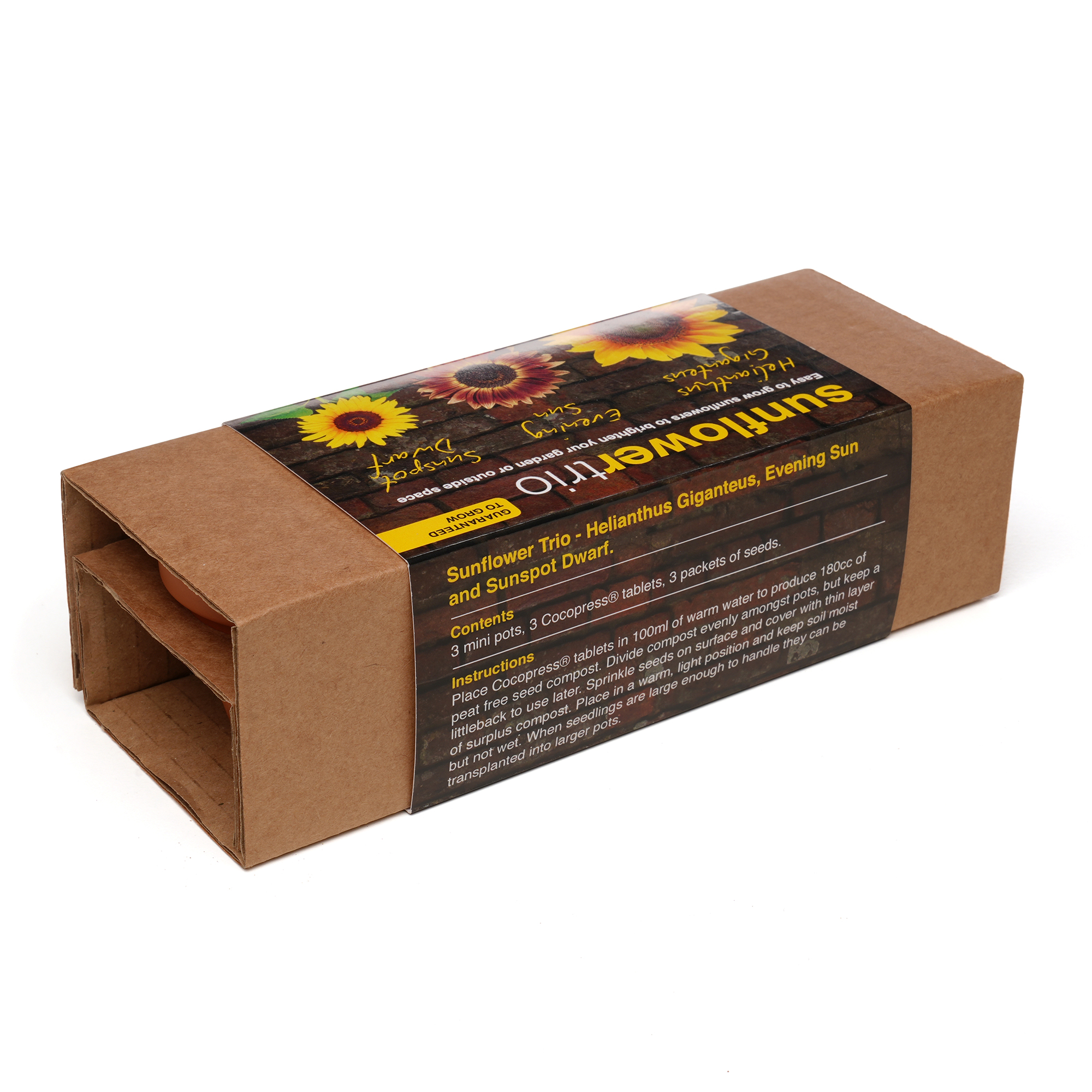 Three 55mm terracotta pots each containing a Cocopress® peat-free compost tablet and a different packets of seeds. The set is neatly presented in natural kraft packaging with a pre-printed sleeve featuring a dedicated space on the front panel for a full colour logo. Choose from the following trio options: Herb (Basil, Chives, Parsley), Sunflower (Giant Sunflower, Evening Sun, Sunspot Dwarf), Wellbeing (Chamomile, Evening Primrose, Lavender).