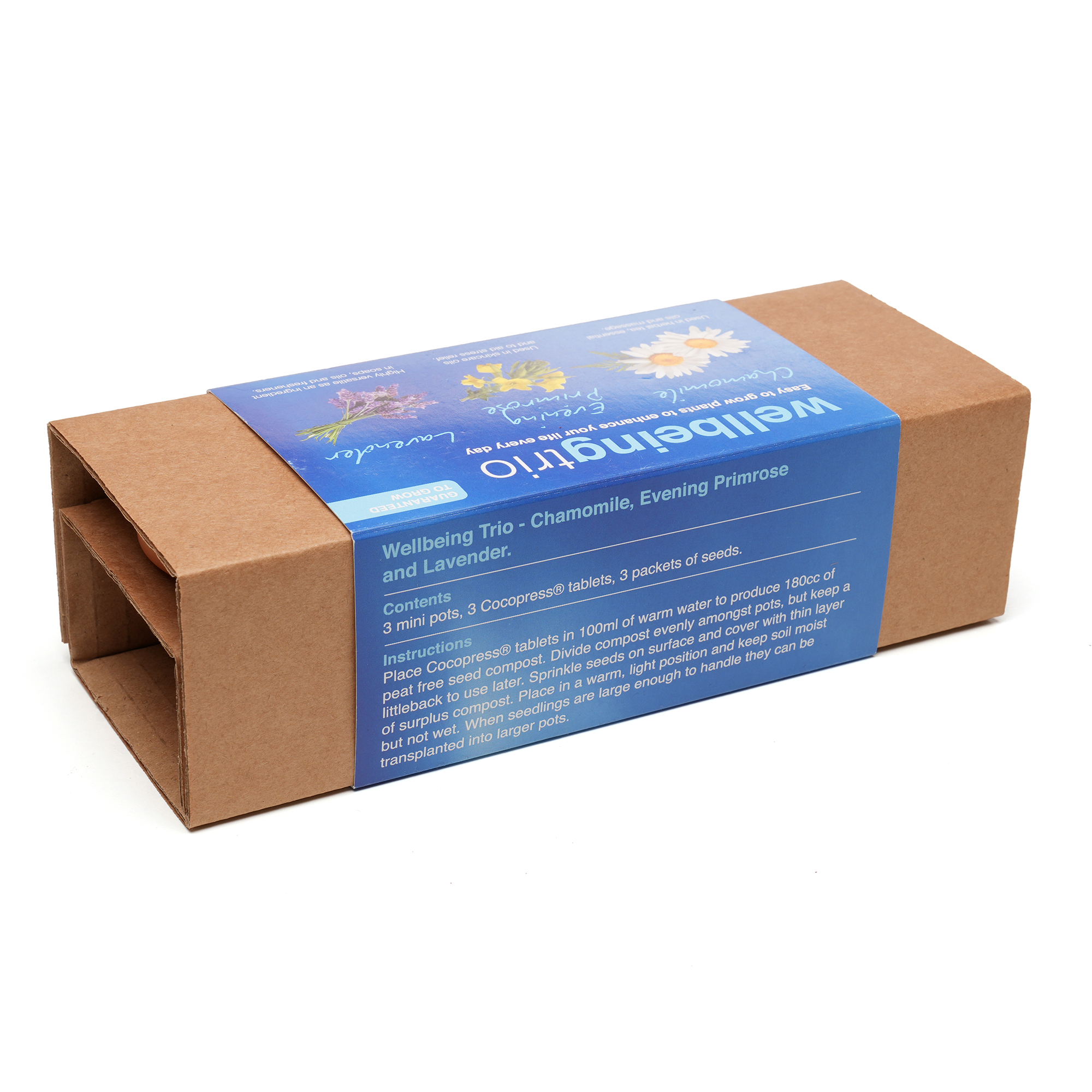 Three 55mm terracotta pots each containing a Cocopress® peat-free compost tablet and a different packets of seeds. The set is neatly presented in natural kraft packaging with a pre-printed sleeve featuring a dedicated space on the front panel for a full colour logo. Choose from the following trio options: Herb (Basil, Chives, Parsley), Sunflower (Giant Sunflower, Evening Sun, Sunspot Dwarf), Wellbeing (Chamomile, Evening Primrose, Lavender).